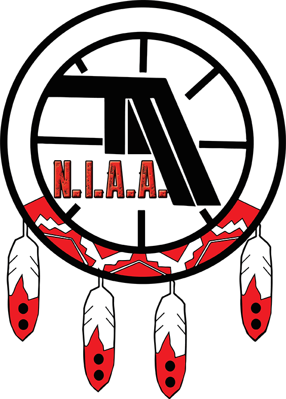 niaa logo